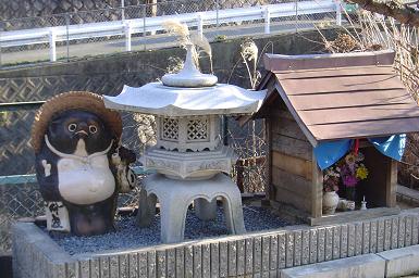shrine-with-tanuki
